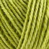 Onion No.3 Organic Wool+Nettles